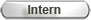 Intern